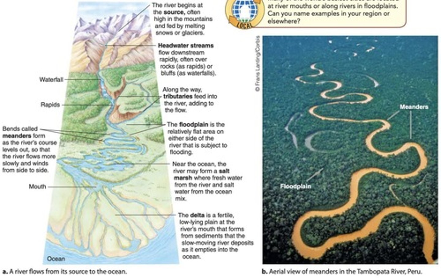 <p>A freshwater ecosystem such as a river or stream where water flows in a current.</p>