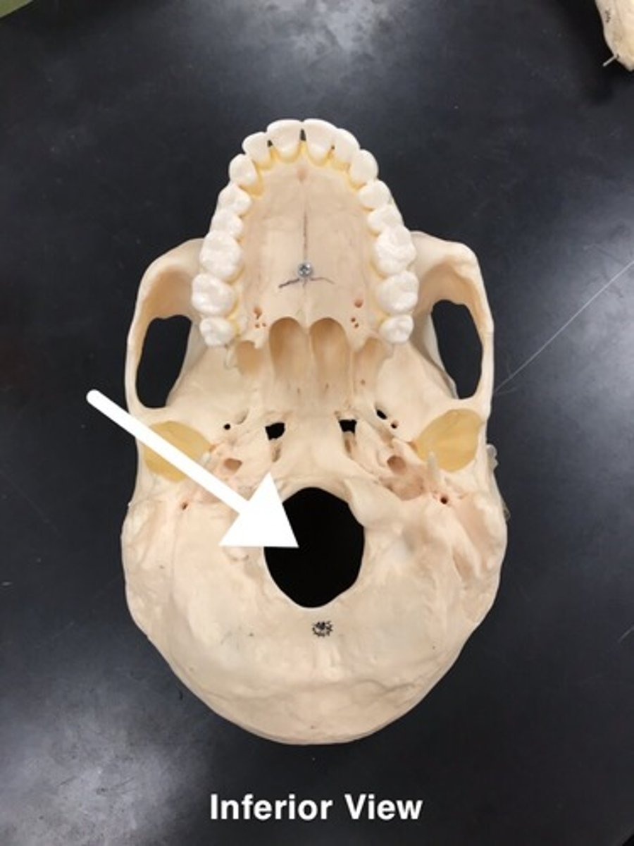 <p>What is this?</p>