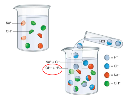 <ul><li><p>It is a substance that can accept a hydrogen ion (H+) from another substance.</p></li><li><p>If the pH scale is more than 7.</p></li></ul><p></p>