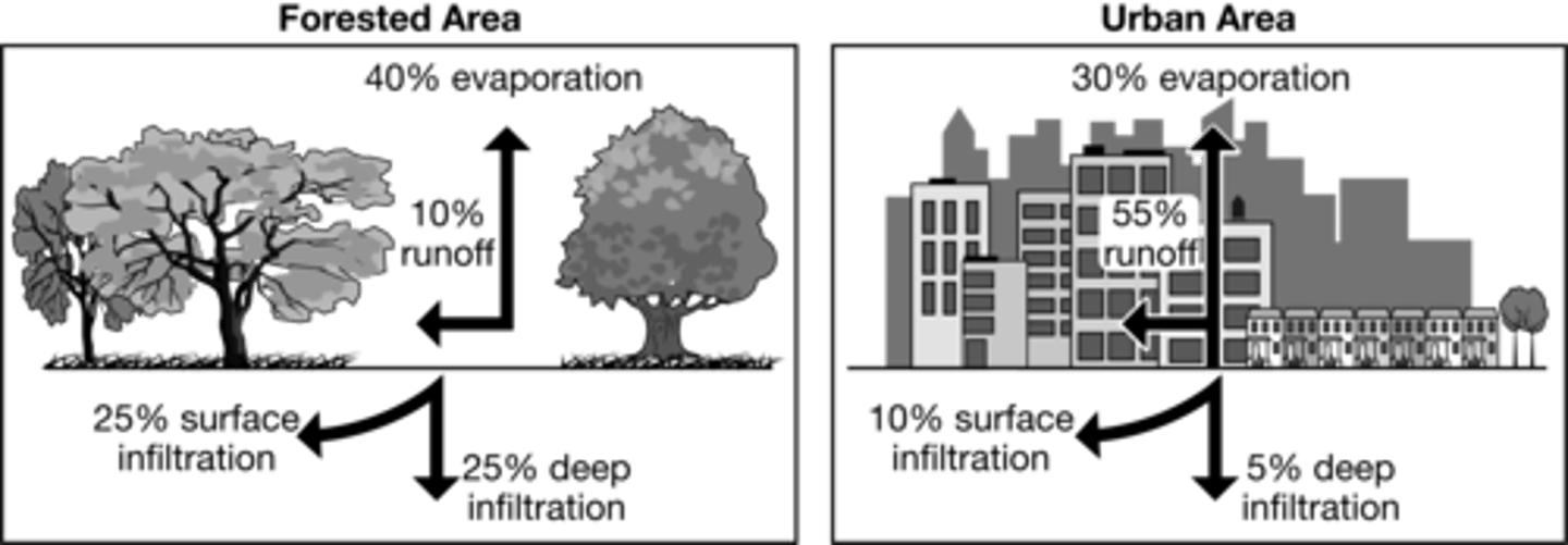 <p>30. Replace traditional pavement with more porous pavement to increase ground infiltration.</p>