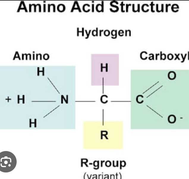 <p>the R-Group </p>