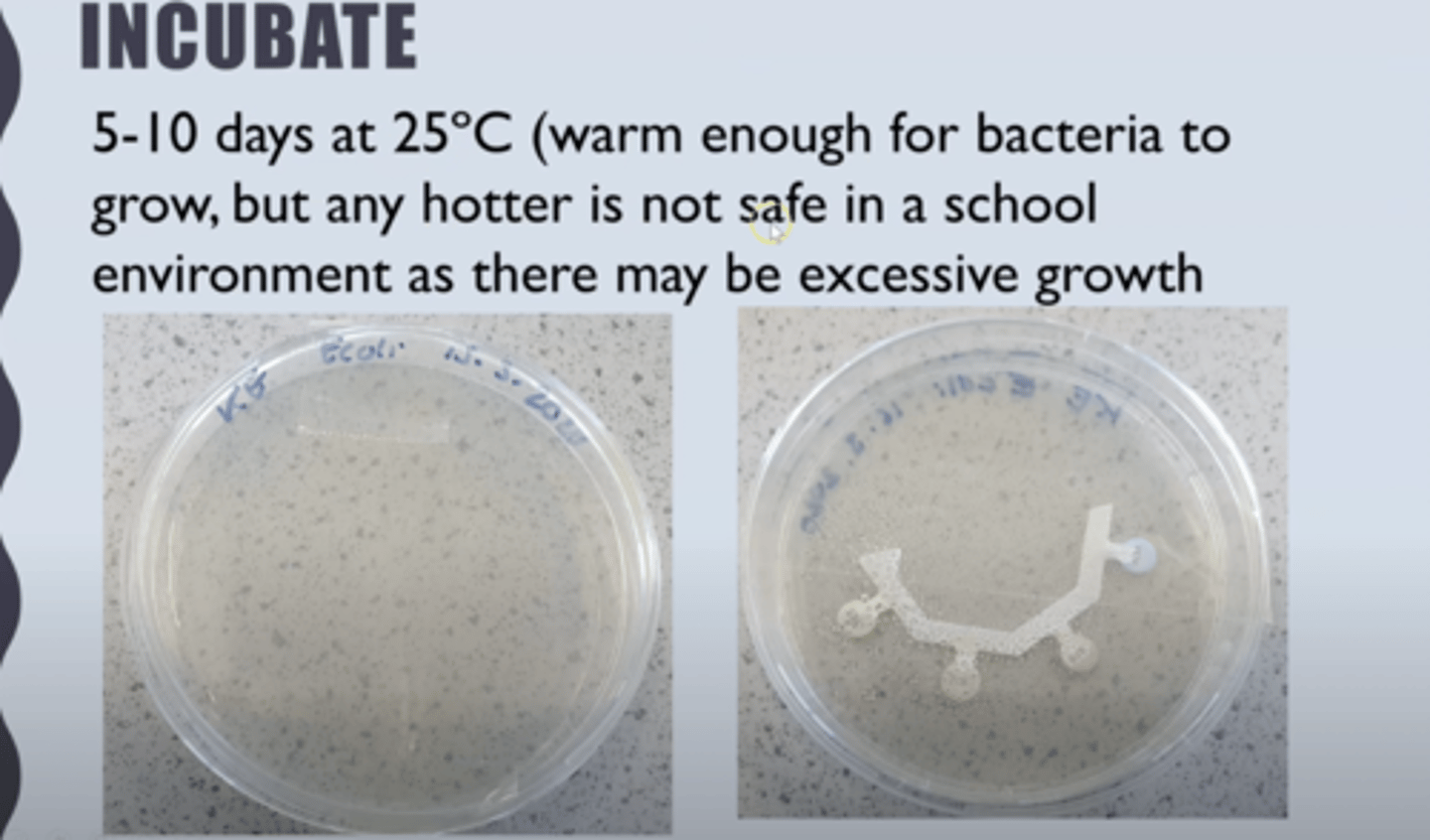 <p>● Below human body temp to prevent growth of pathogens</p>