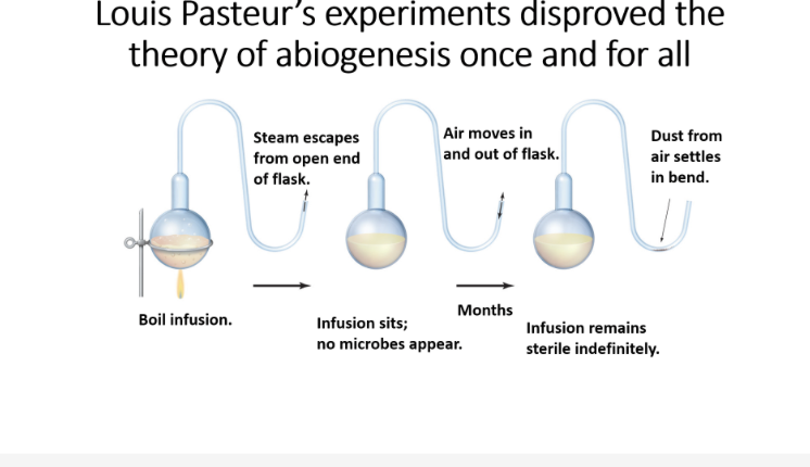 the father of MICROBIOLOGY 
