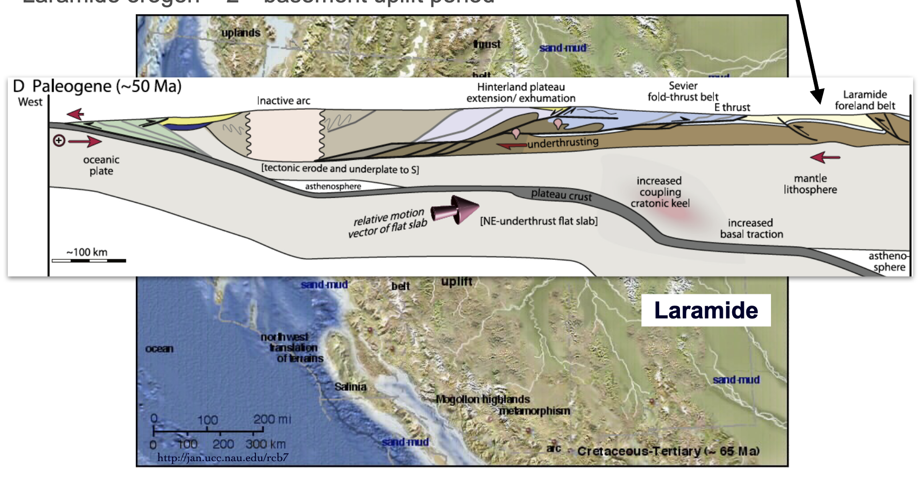 <p>K—T Boundary, 65 Ma</p>
