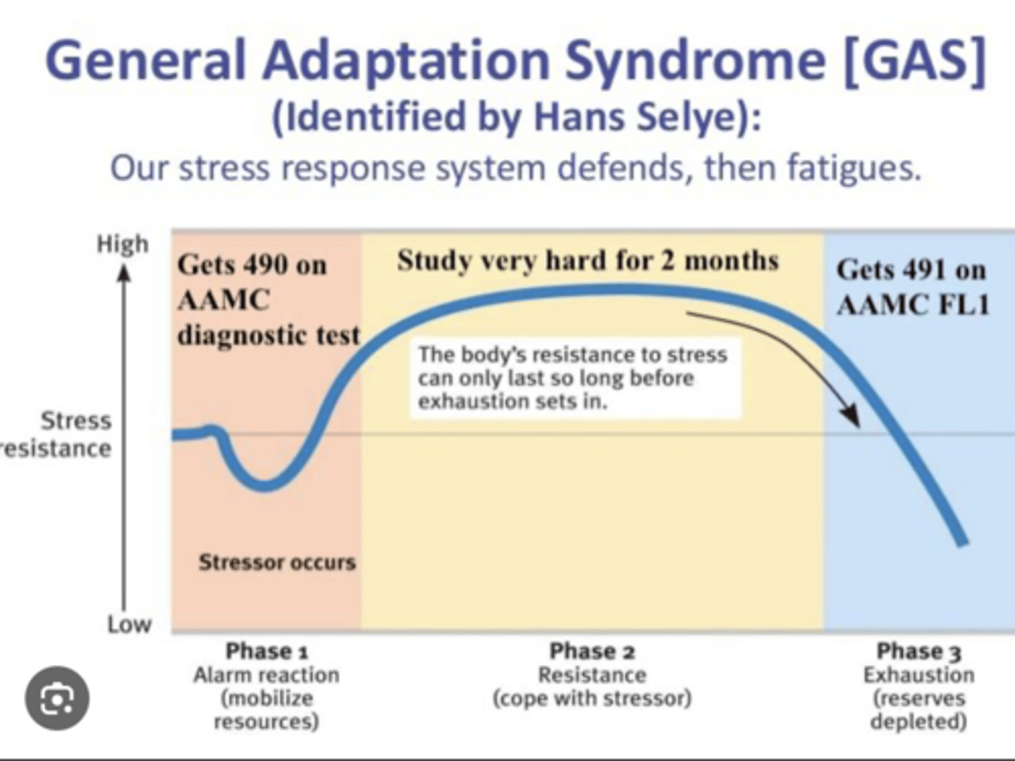 <p>The physiological consequences of severe stress in three stages:</p><p>1.Alarm stage: mobilize resources</p><p>2.Resistance Phase: cope with stressor</p><p>3.Exhuastion Phase: reserves depleted</p>