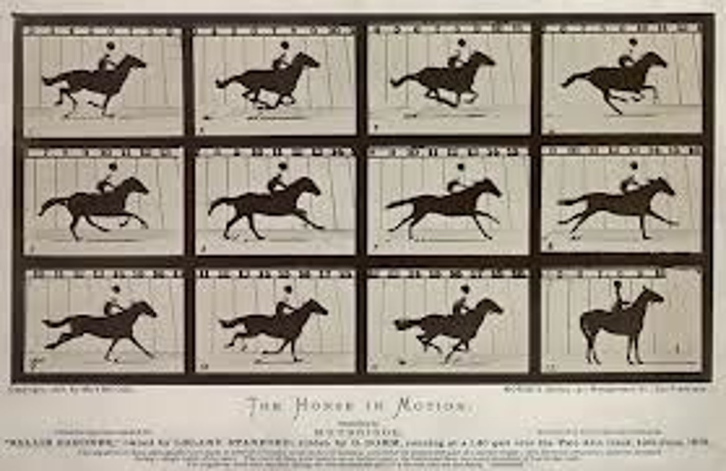 <p>Artist: Eadweard Muybridge</p><p>Period:</p><p>Dates: 1878 C.E.</p><p>Culture: America</p><p>Material: Albumen Print</p>