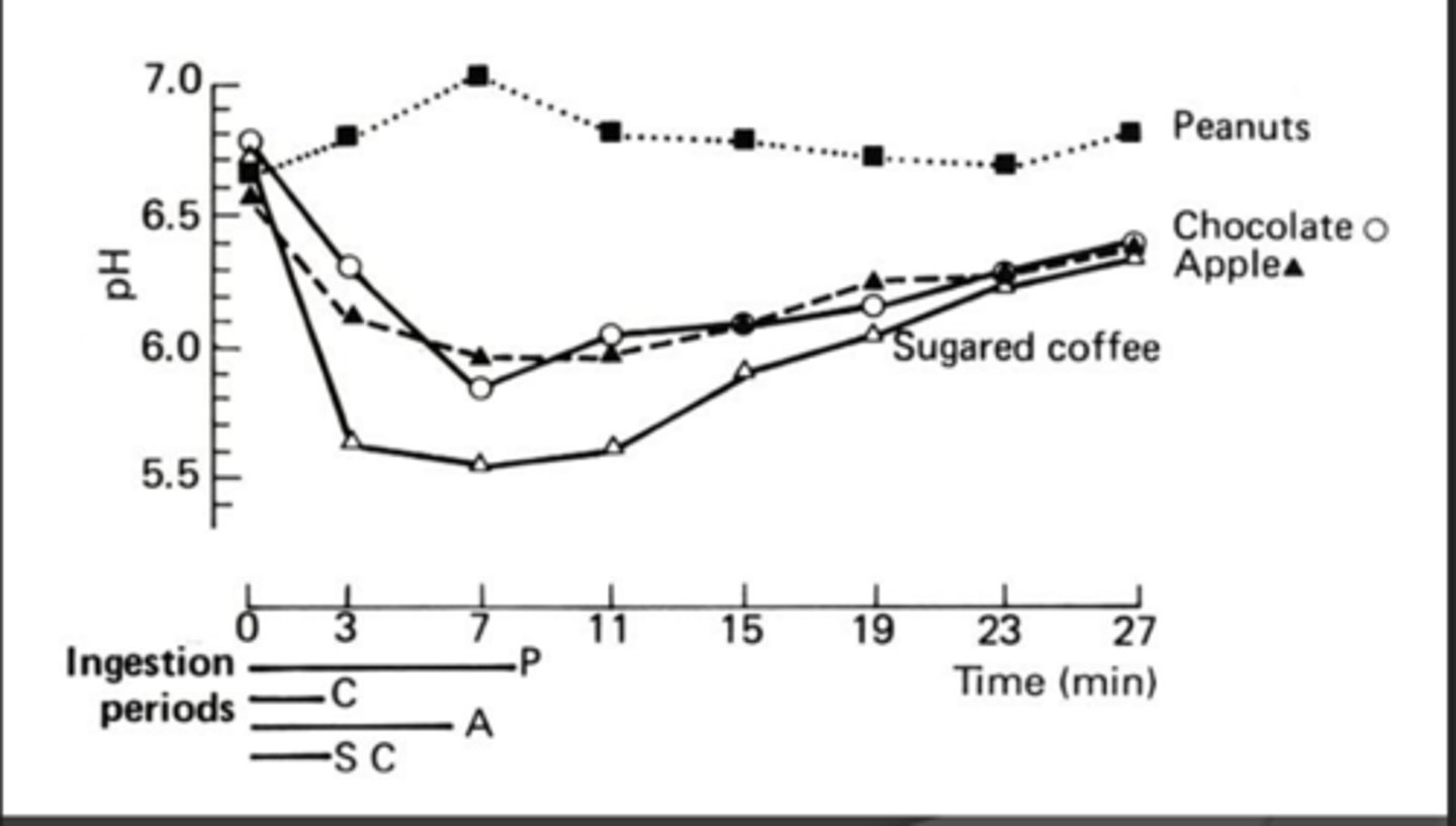 <p>Peanuts - no substrate</p><p>Chocolate- substrate and fat</p><p>Apple- substrate + chewing/friction</p><p>Coffee- only substrate</p><p>Mixed diets are thought to be protective against caries</p>
