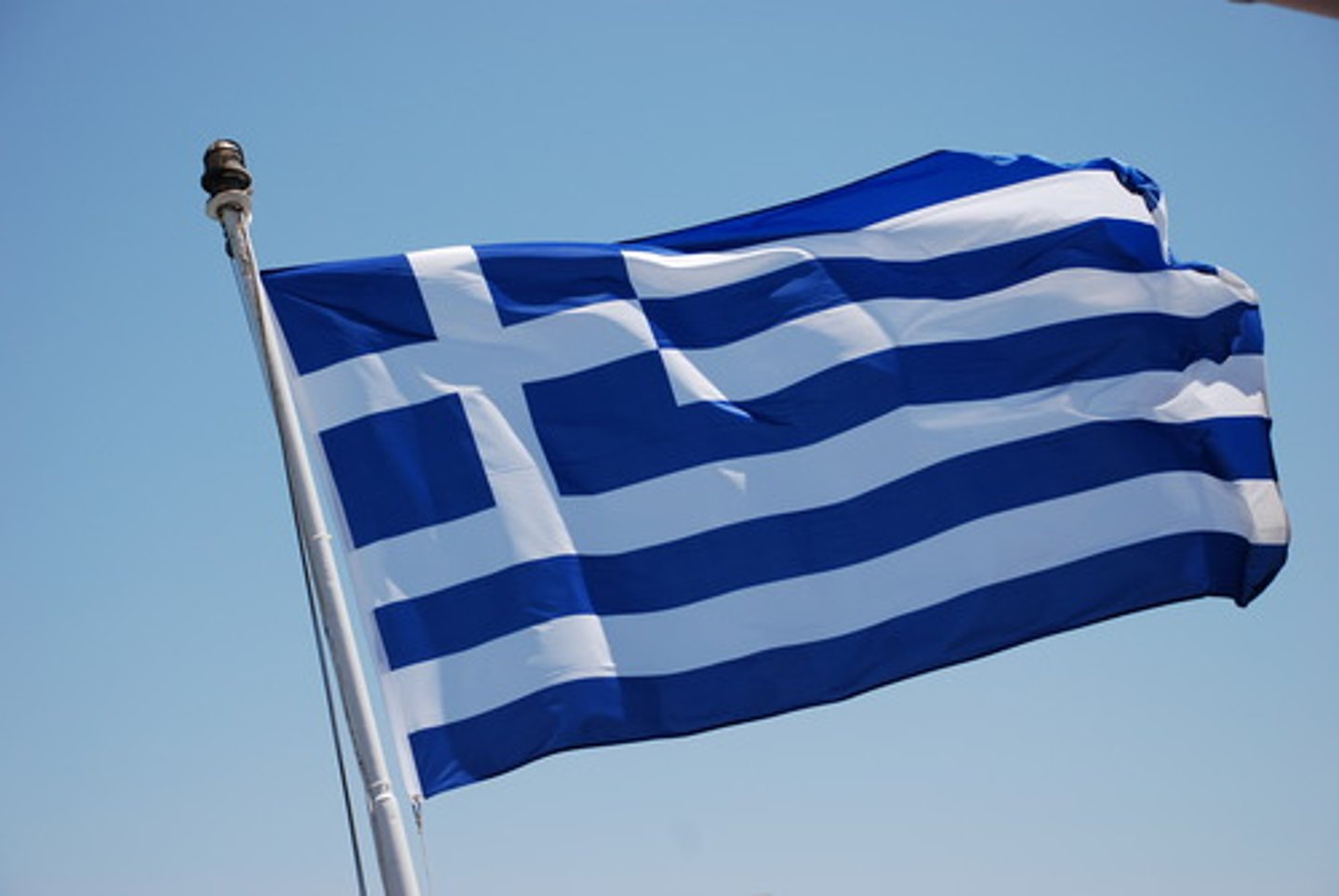 <p>Graecus</p>
