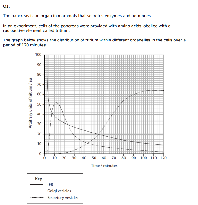 <p>Analyse the graph to explain the route taken by these amino acids within the pancreatic cells. (4)</p>