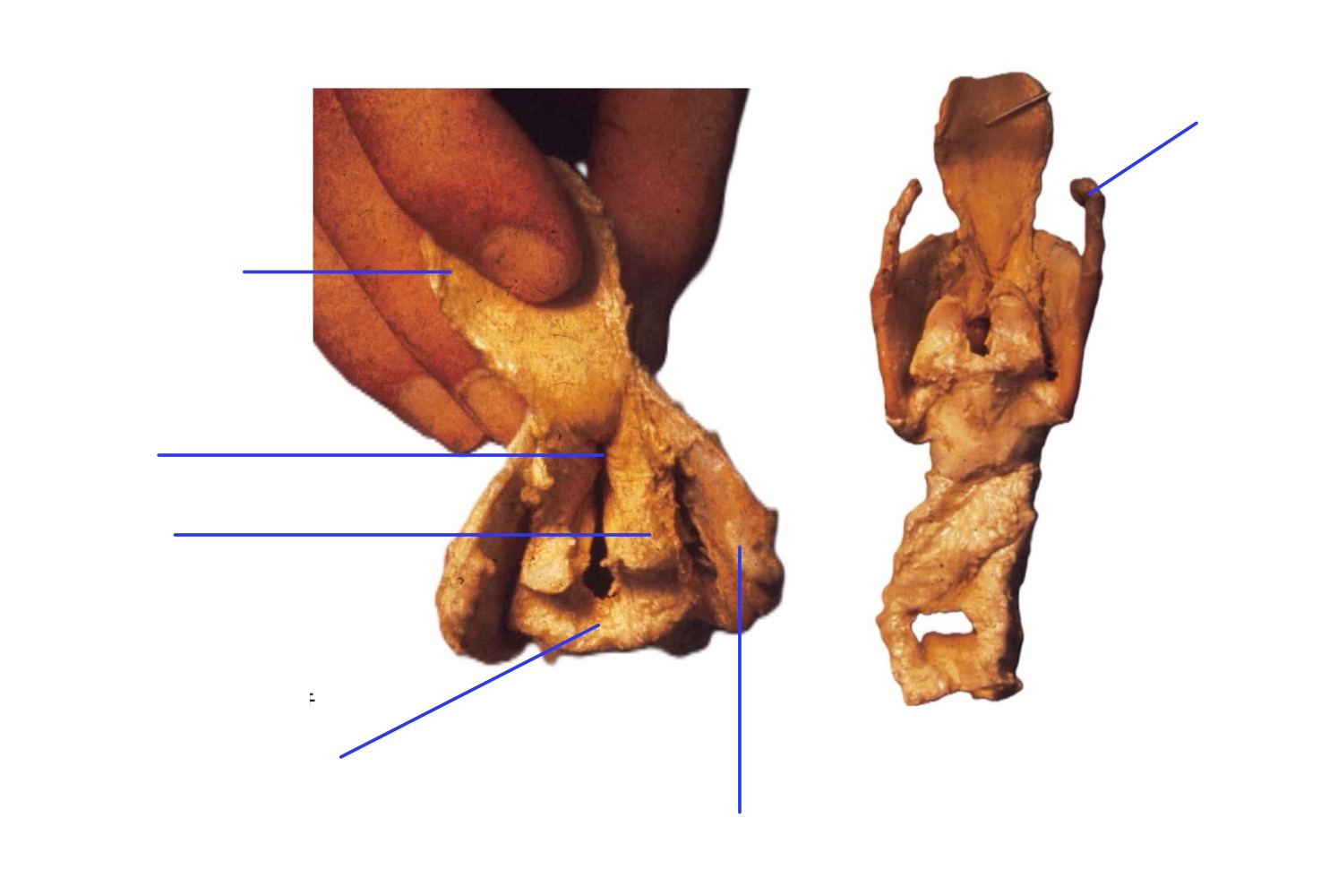 <p>Légender</p>