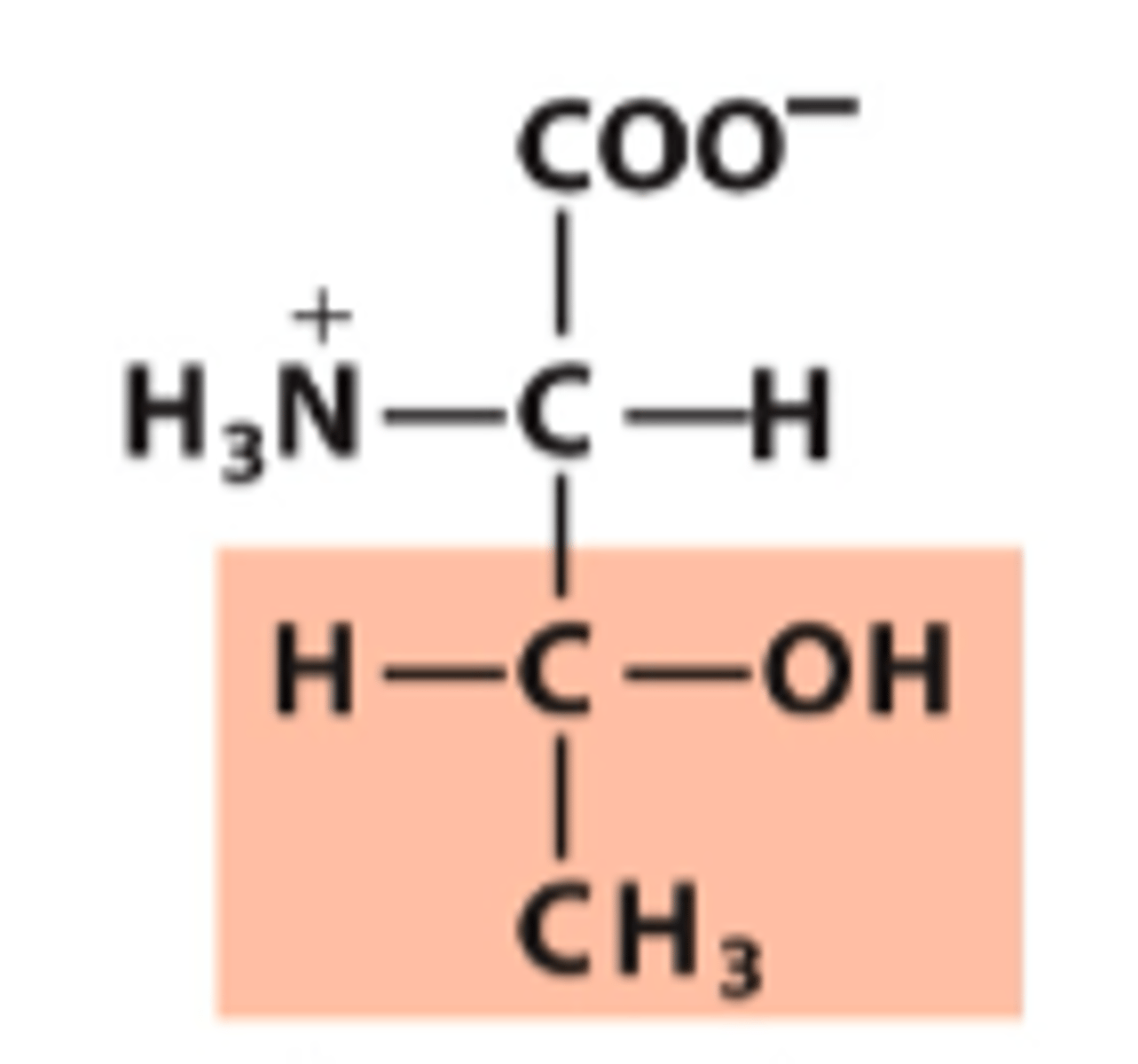 <p>What amino acid is this?</p>