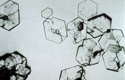 <p>What Crystal Is This? </p>