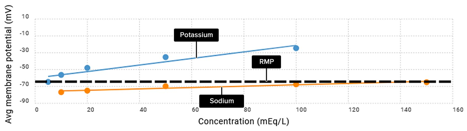<p>When the crayfish muscle fiber is at its normal resting membrane potential (about -65 mV), what is the approximate concentration of extracellular potassium? What is the concentration of sodium?</p><p>Which ion had the most influence on the membrane potential when its extracellular concentration was changed?</p>