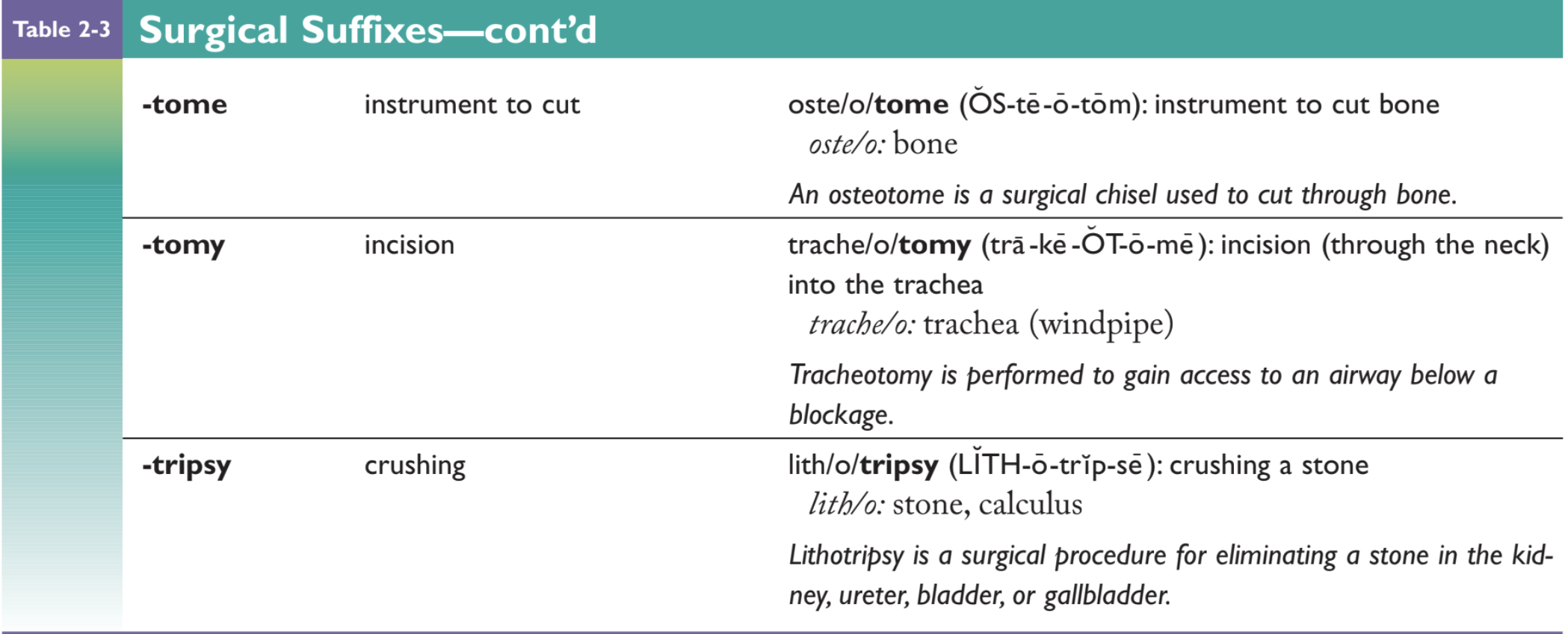 <p>Incision to remove a stone or calculus:</p><p>A. Nephrectomy<br>B. Cystectomy<br>C. Lithotomy<br>D. Hysterectomy</p>