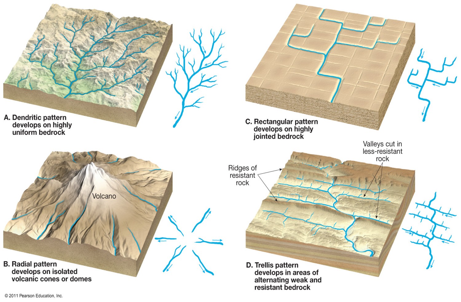 <p>Dendritic, rectangular, radial, and trellis </p>