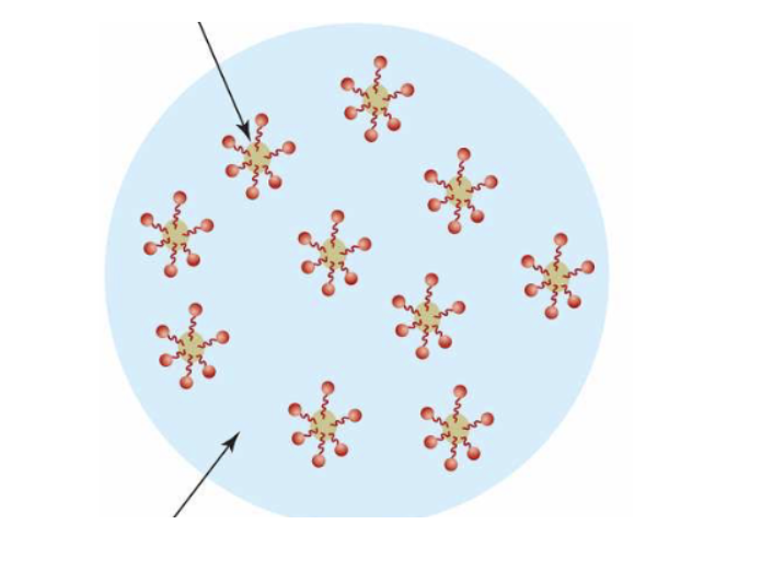 <p>Label the two arrows shown in this picture:</p>