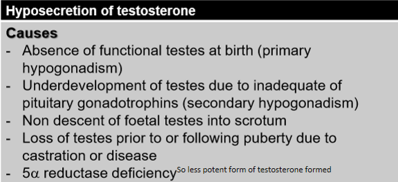 <ul><li><p>Absence of functional testes at birth</p></li><li><p>Loss of testes (castration or disease)</p></li></ul><p></p>