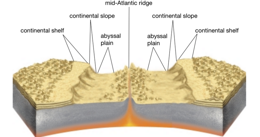 <p>Describe the features you see here</p>