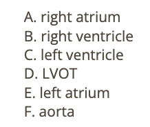 <p>c) aorta</p>
