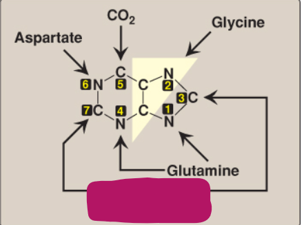 <p>What compound contributes these atoms to a purine ring?</p>