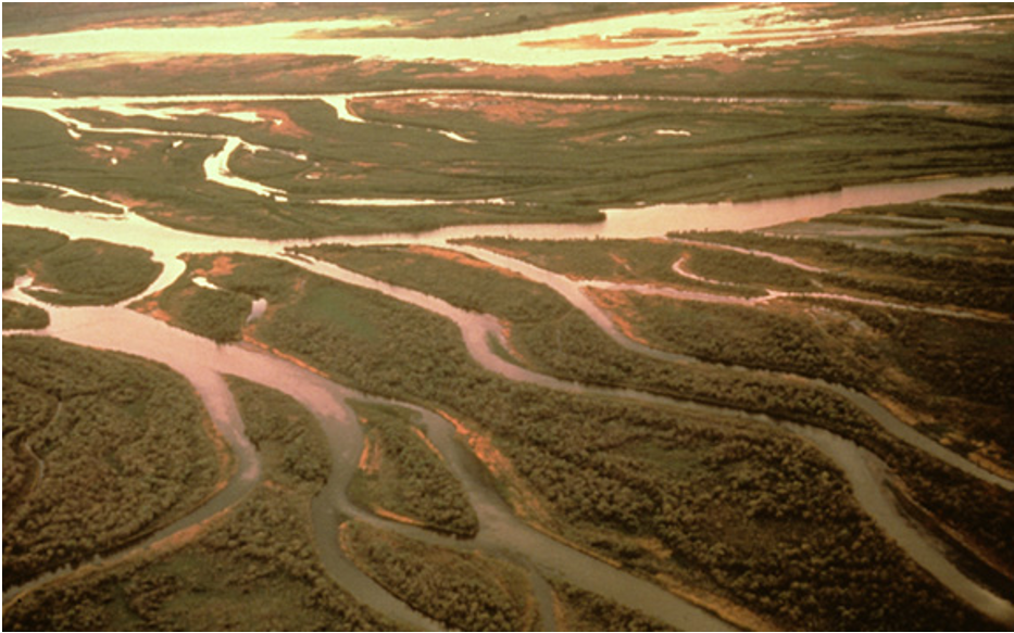 stabiel patroon van meerdere onderling verbonden riviergeulen. vaak voorkomend in gebieden met bodemdaling of zeespiegelstijging. lijkt op biesbos
