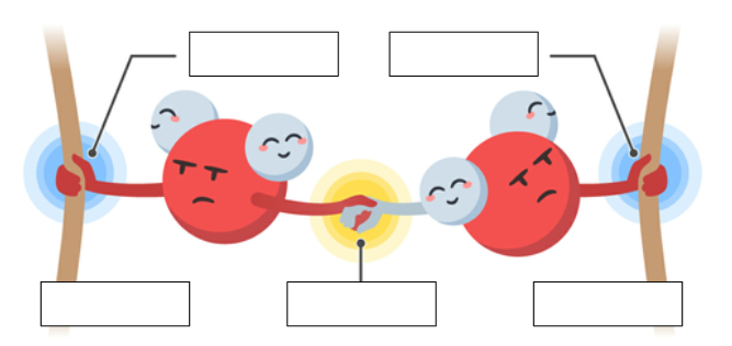 <p>attraction between different kinds of molecules</p>