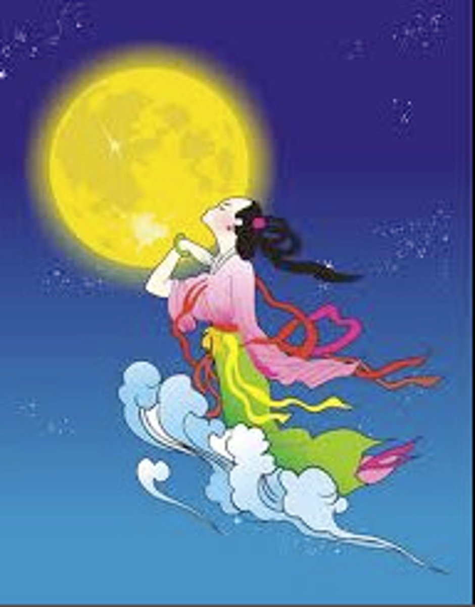 <p>the Moon Goddess Chang'e</p>