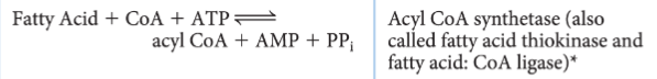 <p>Which step/stage does this reaction represent?</p>