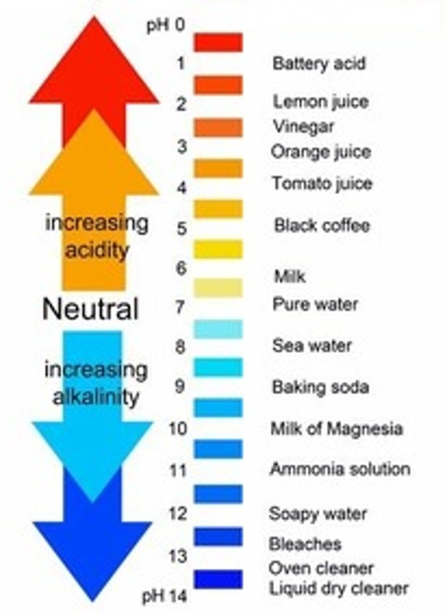 <p>is a unitless number between 0 and 14 that tells how acidic or basic a substance is</p>
