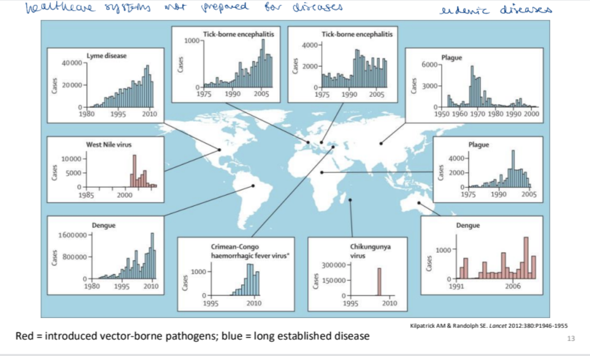 <p>Diseases that are <strong>consistently present within a specific geographic area or population</strong>. They occur at a <strong>stable, predictable rate over time</strong>, unlike epidemics or pandemics which involve sudden spikes in cases</p><p></p>