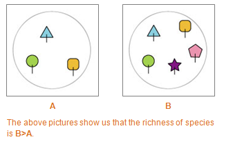 <p>species richness</p>