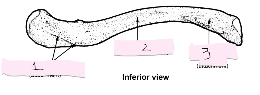<p>What is the names of the covered parts?</p>