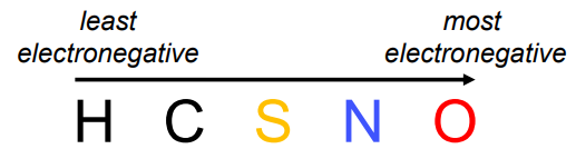 <ul><li><p><strong>Electronegativity:</strong> Some atoms pull electrons stronger than others.</p><ul><li><p>Least → most electronegative: H, C, S, N, O.</p></li></ul></li><li><p><strong>Bond effect:</strong> Covalent bonds between atoms with different electronegativities create a permanent dipole.</p></li></ul><p></p>