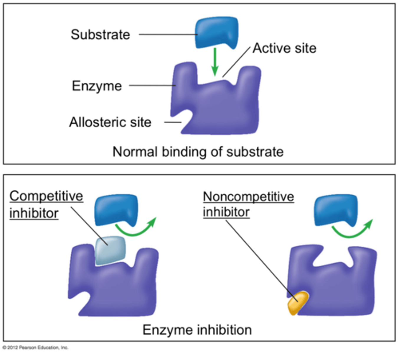 <p>inhibitor can bind or substrate can bind; since we have infinite substrate then it just takes longer for it to bind more than inhibitor</p><p>need increased substrate concentrations</p><p>Vmax is not changed</p><p>Km increases (Km = substrate concentration when half of active sites are filled)</p>