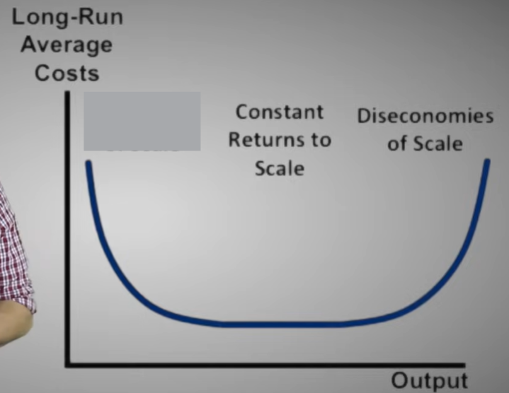 <p>Exist when a firm’s long-run average costs fall as it increases its scale of production and the quantity of output it produces</p>