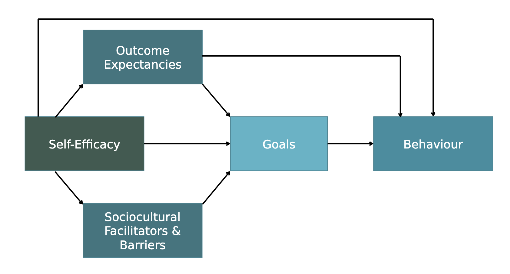 <ul><li><p>individuals learn by observing others, direct experience, and media influence</p></li><li><p>cognitive processes, behaviours, and environmental factors interact and influence each other (reciprocal determinism)</p></li><li><p>observational learning, self efficacy, and outcome expectancies influence behaviour</p></li></ul><p></p>