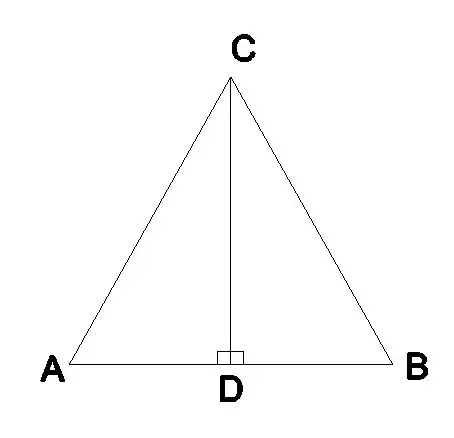 <p><span>Results in 2 congruent segments and right angles</span></p>