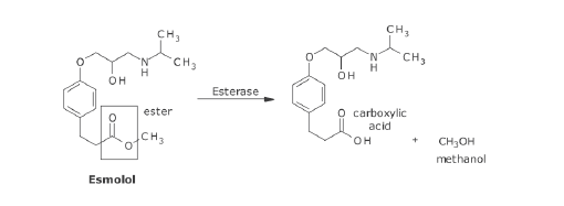 <p>What metabolic transformation is occuring?</p>