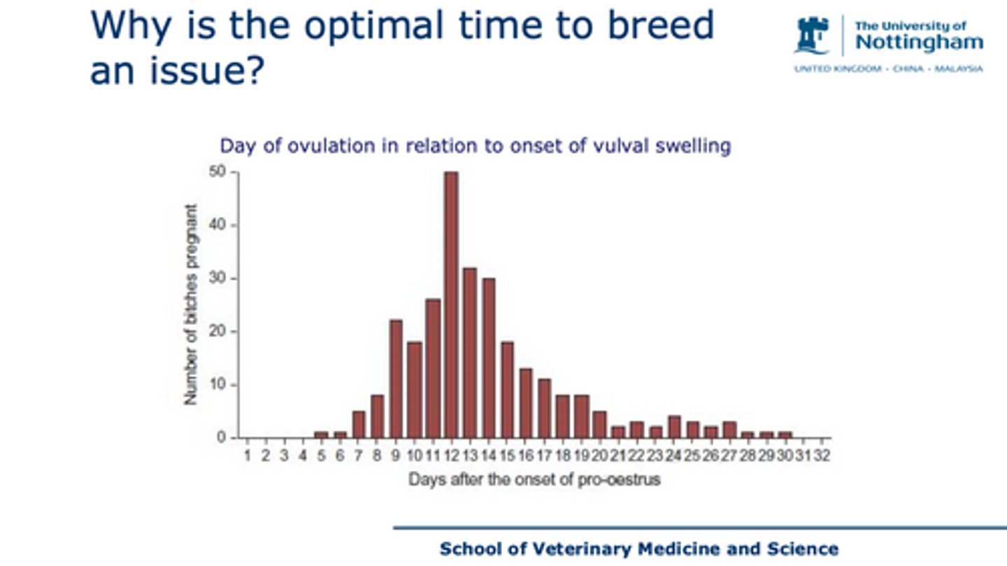 <p>case 2 - what does this cause?</p>