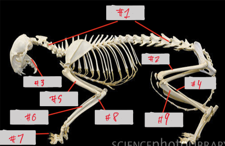 <p>2</p>