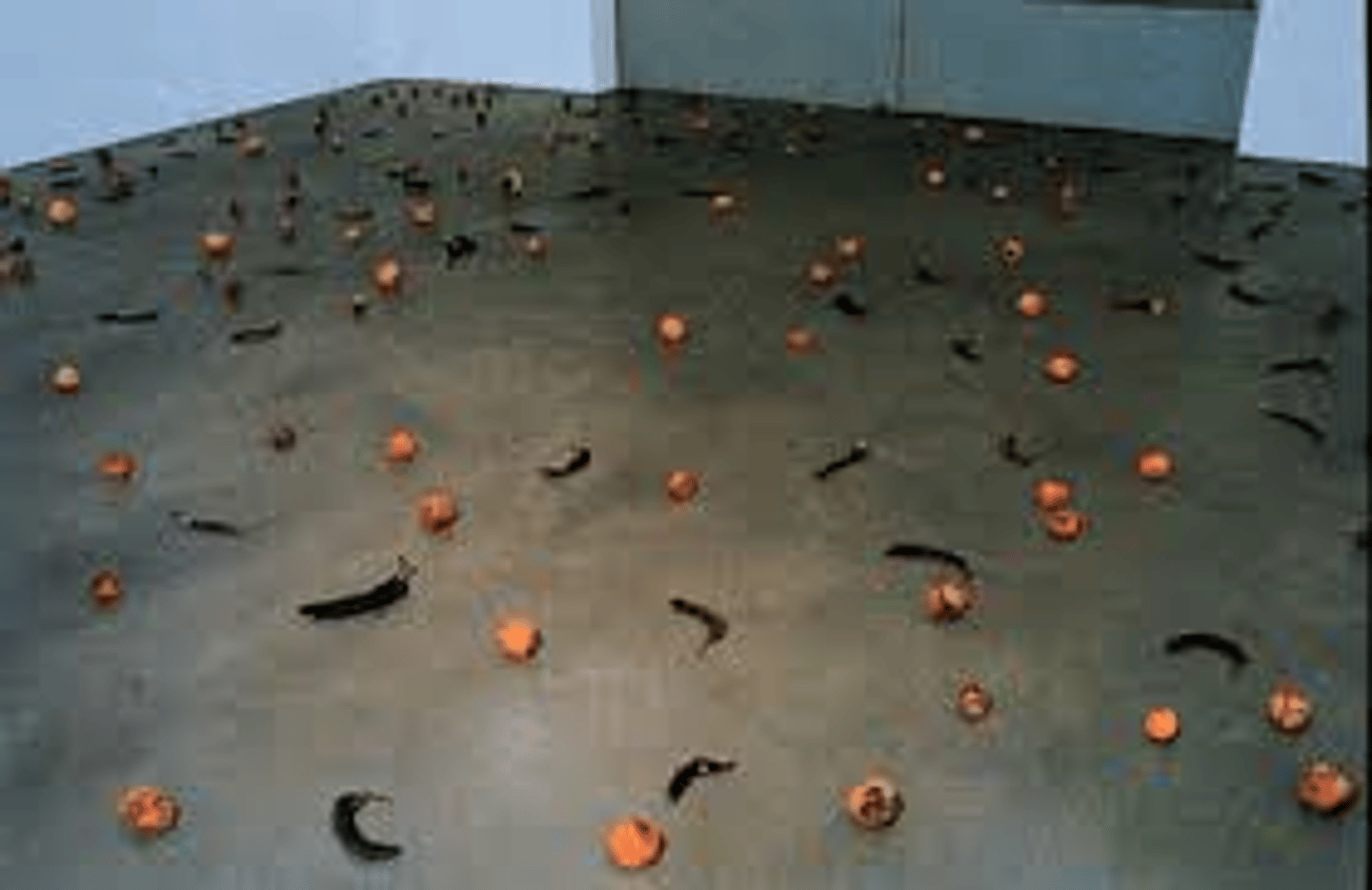 <p>Theme: The Body - Fruit represents her friend's sexual orientation, the outcry against the lynching of black people, the shriveled skins represent the body's decay, address the viewer as someone with a conscience who can act against the governments that allow people to die of AIDS and is understanding of their body (as in Still Life paintings) as a vessel that must succumb to mortality. </p>