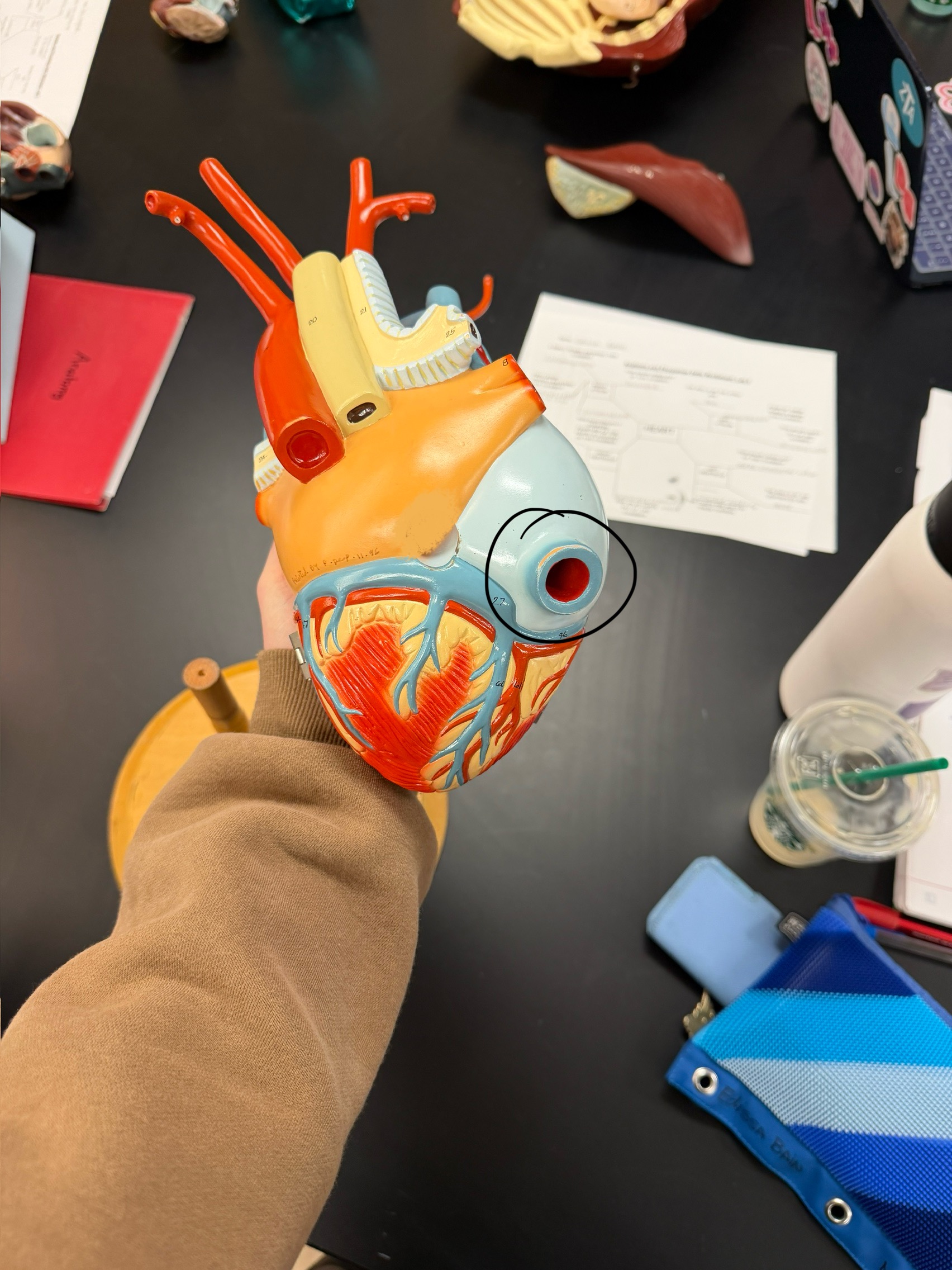 <p>name this structure</p>