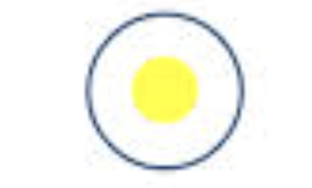 <p>The nuclei fuse to form a diploid (2n) zygote. <strong>Fuse nuclei</strong></p>