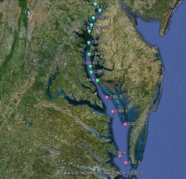 <p>the largest estuary in the United States, has long suffered from <strong>eutrophication</strong>, a process driven by excessive nutrient pollution, primarily nitrogen and phosphorus. Here's an AP Environmental Science fact about it: &nbsp;</p>