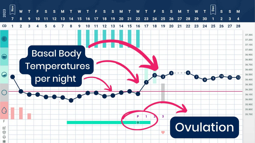 <p>tempartre if the biday at rest, during ovulation as the progesterone raises some cloents experience rise of body temp </p>