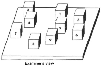 <p>Corsi block tapping task</p>