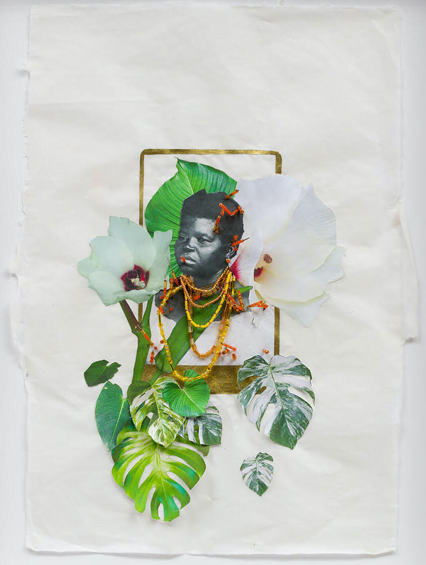 
 she makes things out of paper
She is known for making art about islands in the Indian Ocean and Caribbean Sea