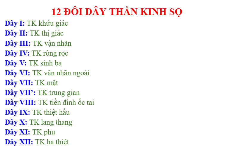 <p>Cấu trúc nào sau đây đi qua khe ổ mắt trên</p><p>A. TK sọ số III, IV, VI.</p><p>B. TK sọ số III, IV, V1, VI.</p><p>C. TK sọ số III, IV, V1, V2, VI.</p><p>D. TK sọ số II, III, IV, V1, VI.</p>