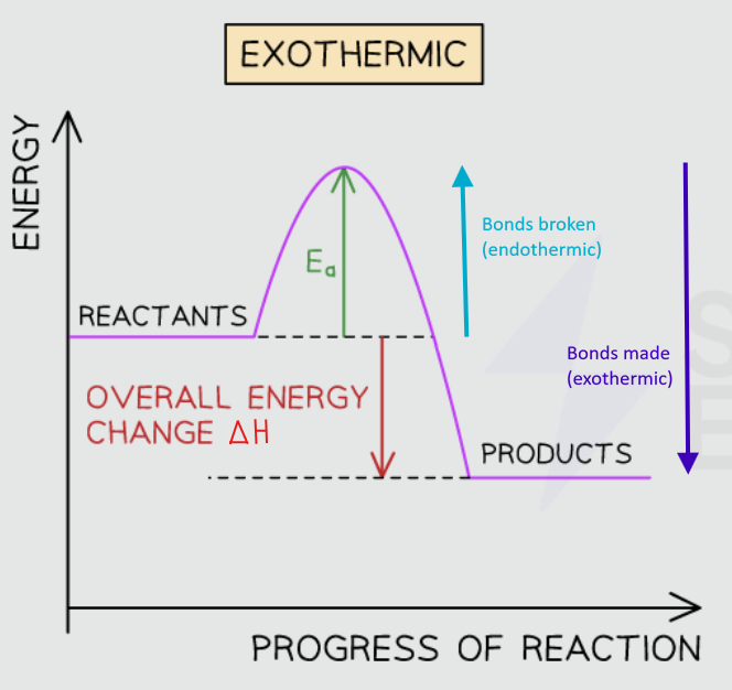 <ul><li><p>Products have <strong>less </strong>energy than the reactants (products are <strong>more stable</strong> than the reactant, so the change in energy is negative. This is represented with a downwards arrow</p></li><li><p>Overall energy is released in this reaction</p></li><li><p>Activation energy is needed to start the reaction</p></li></ul><p></p>