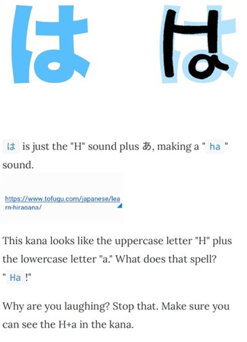 <p>h a</p>